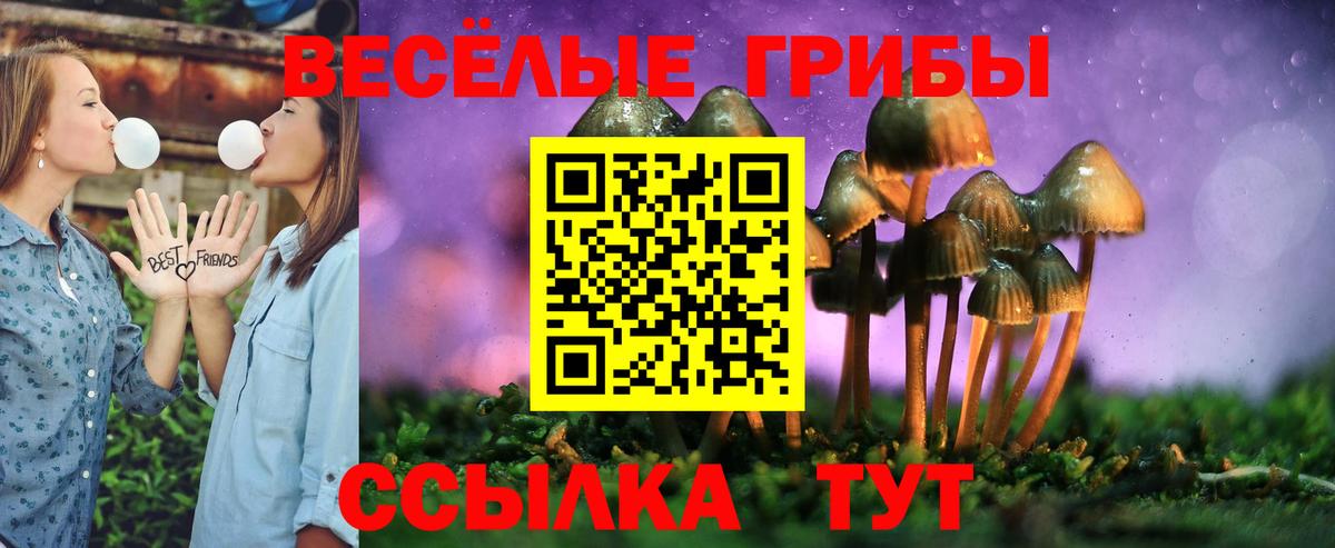 Галлюциногенные грибы Psilocybe  Вход с VPN  Галлюциногенные грибы GOLDEN TEACHER  Коркино 